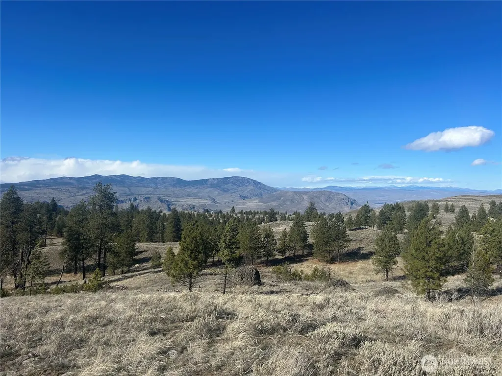 0 Columbia River Bluffs Road Waterville WA 98858