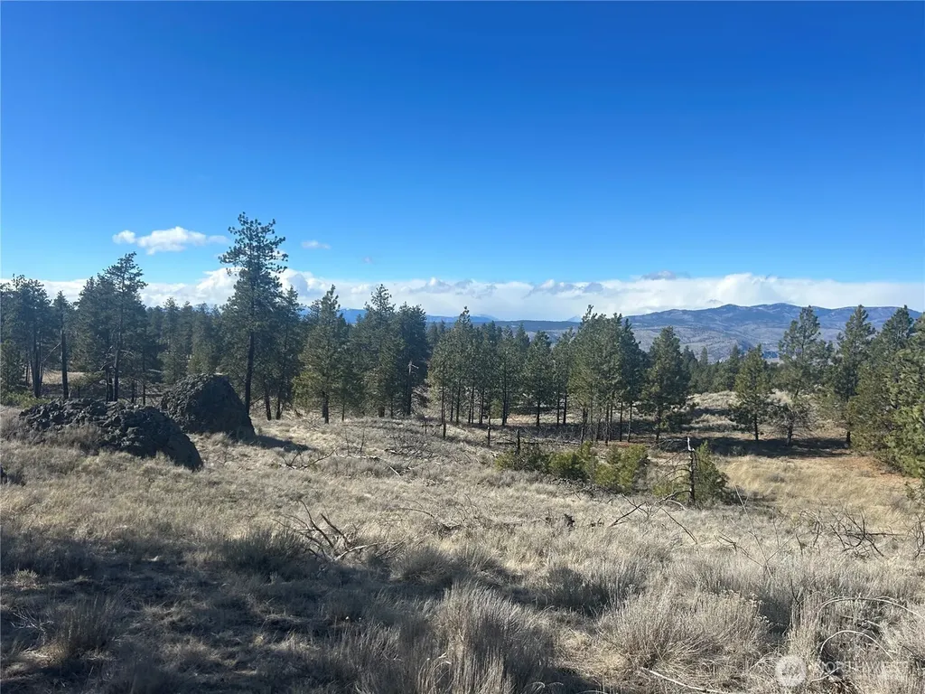 0 Columbia River Bluffs Road Waterville WA 98858