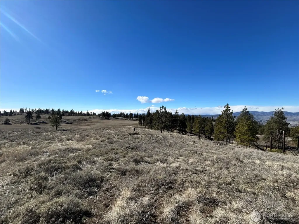 0 Columbia River Bluffs Road Waterville WA 98858