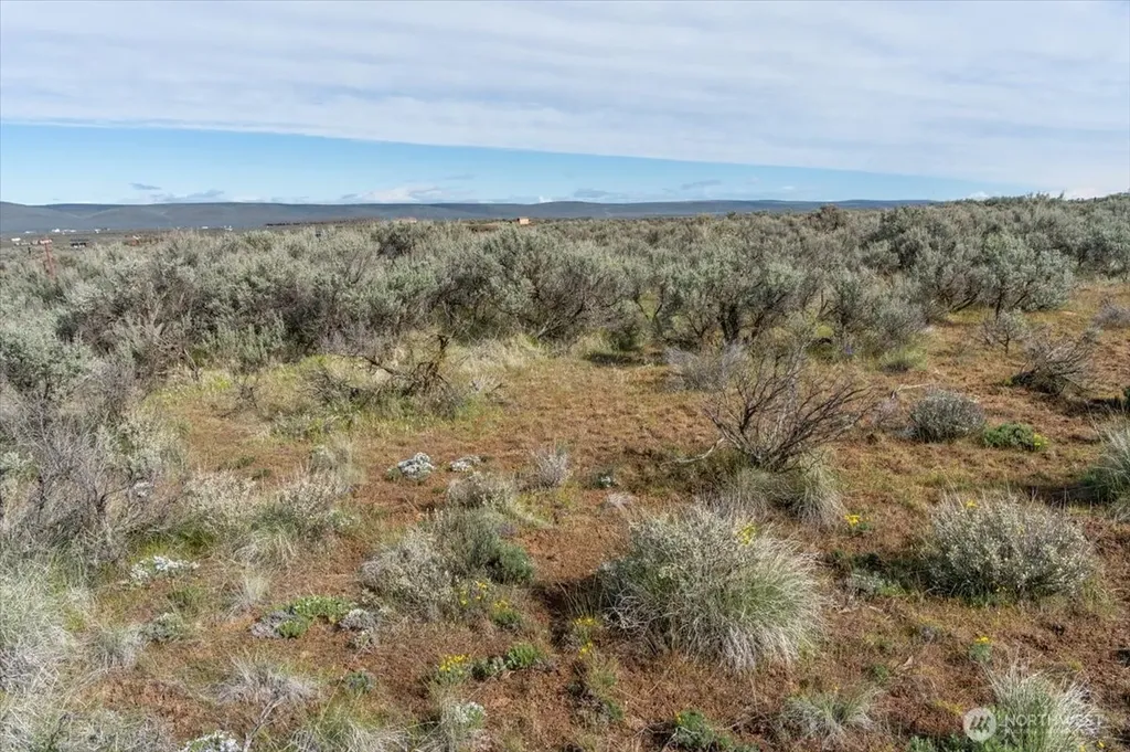 7135 Coyote Trail Ephrata WA 98823