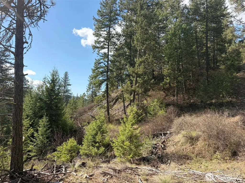111 West Curlew Lake Road Republic WA 99166