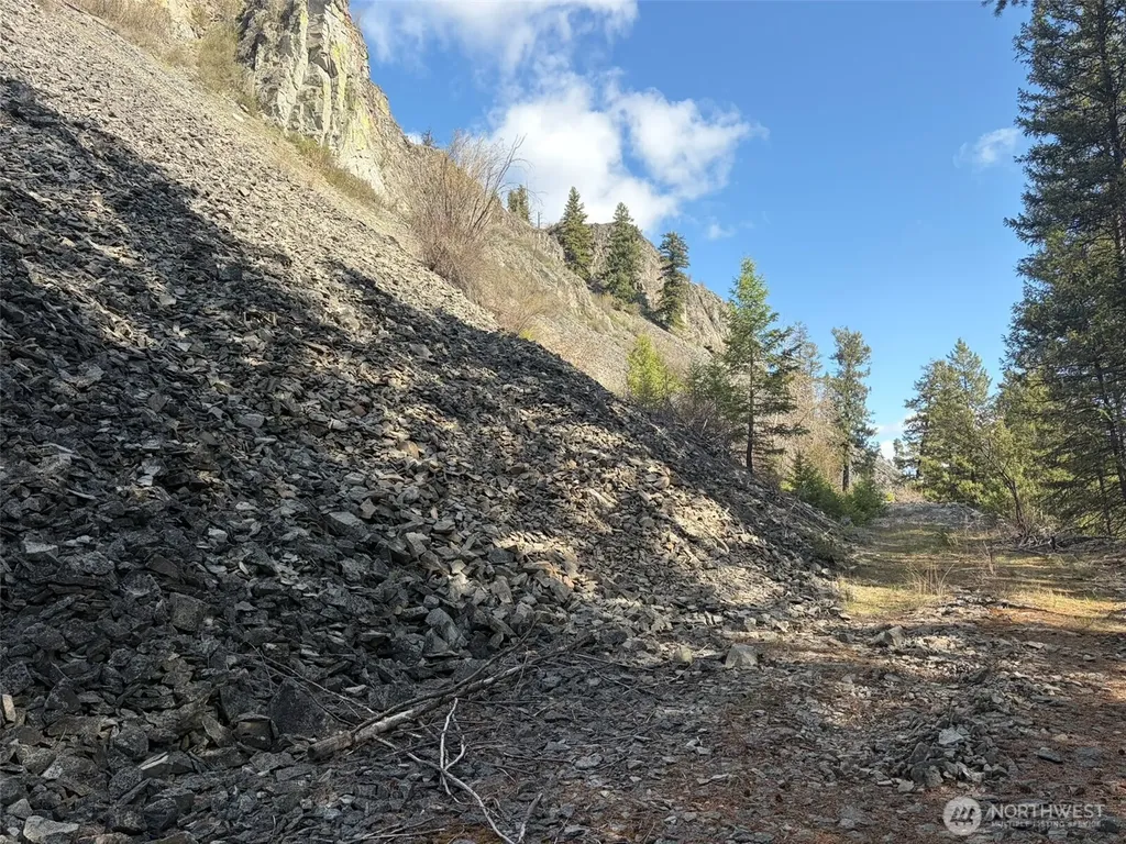 111 West Curlew Lake Road Republic WA 99166