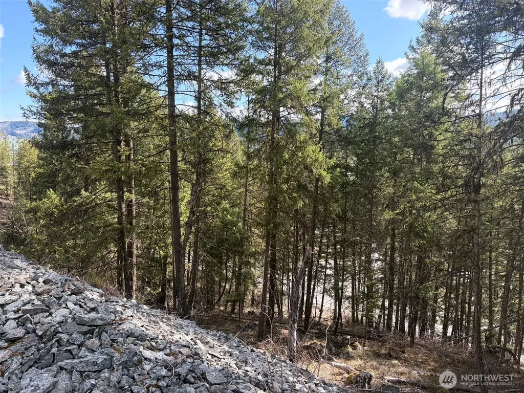 111 West Curlew Lake Road Republic WA 99166
