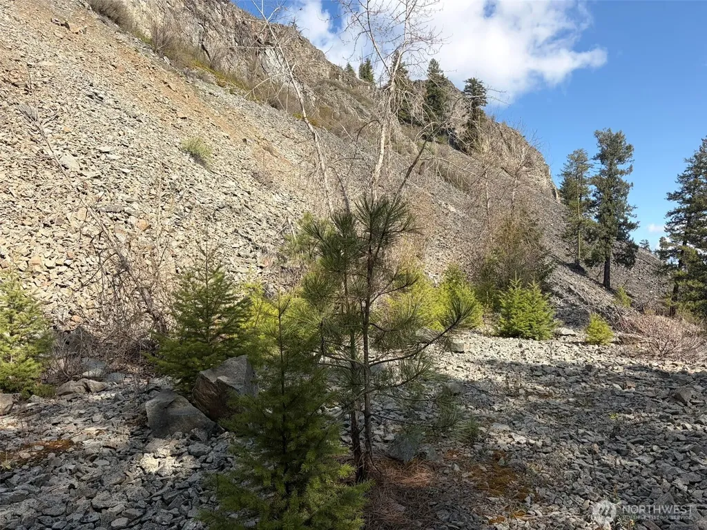 111 West Curlew Lake Road Republic WA 99166