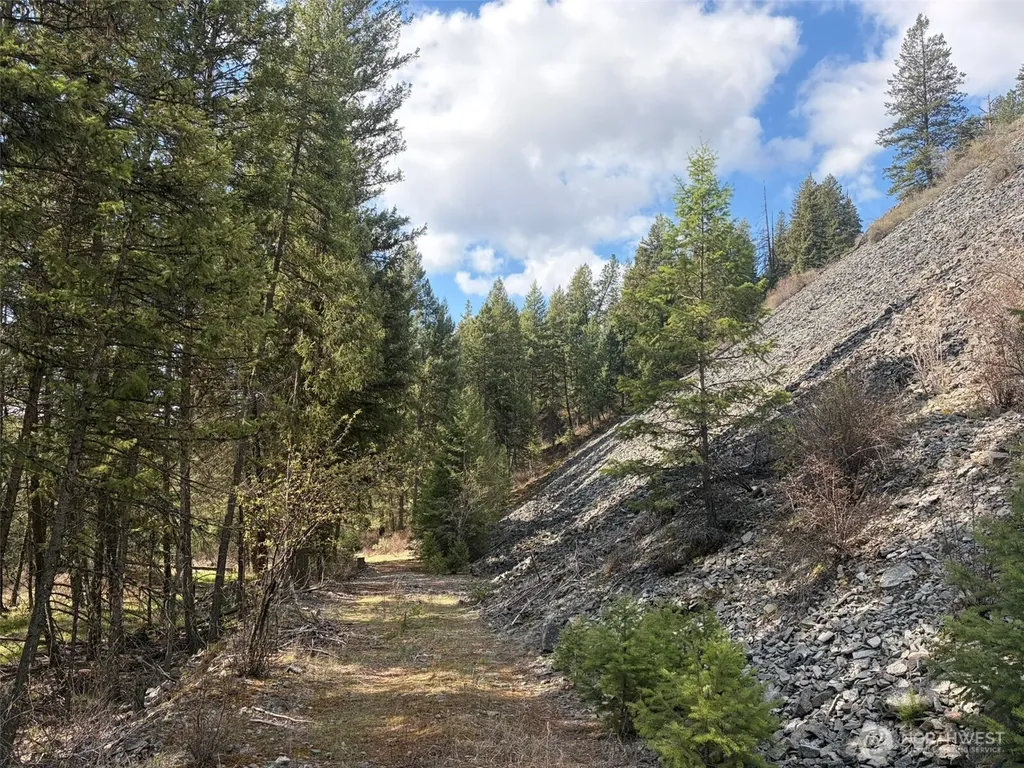 111 West Curlew Lake Road Republic WA 99166
