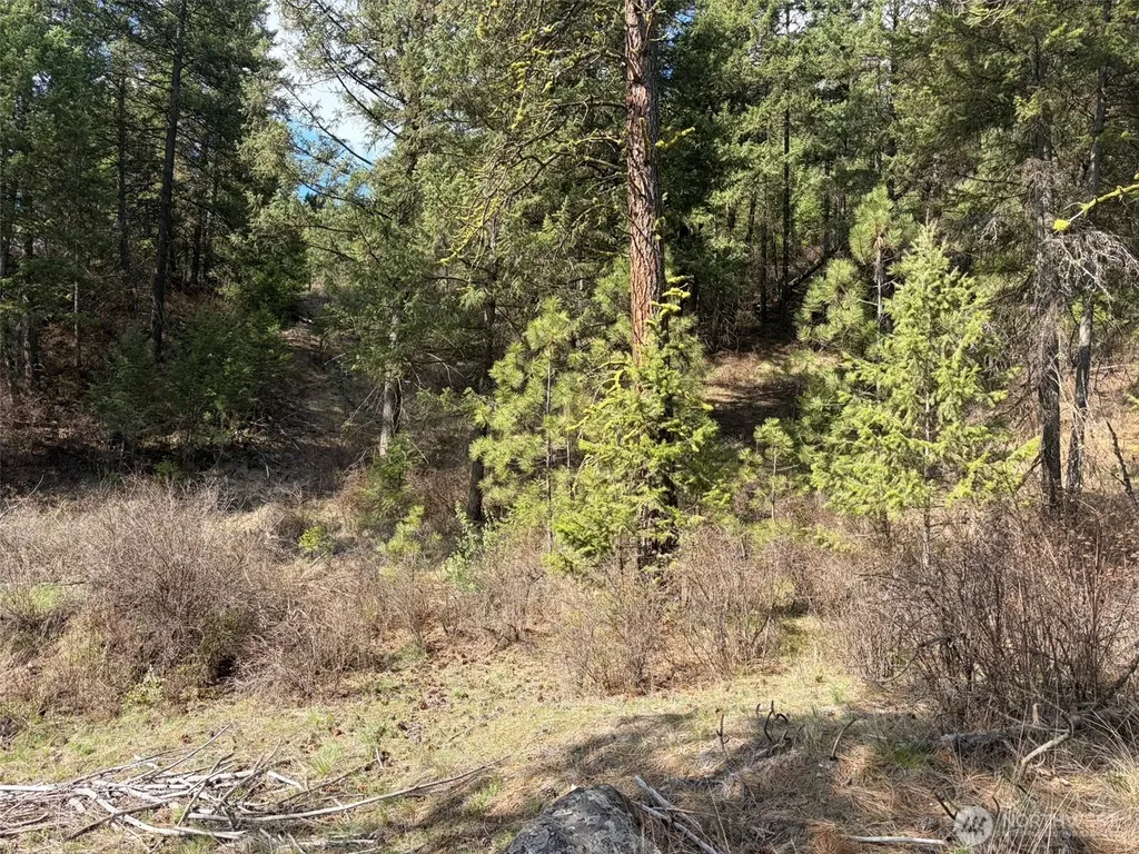 111 West Curlew Lake Road Republic WA 99166