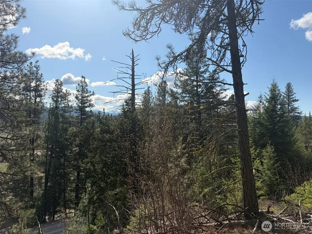 111 West Curlew Lake Road Republic WA 99166