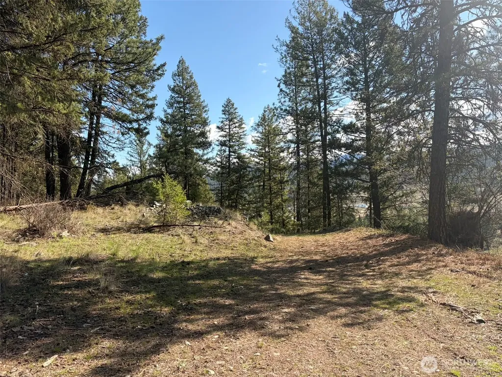 111 West Curlew Lake Road Republic WA 99166