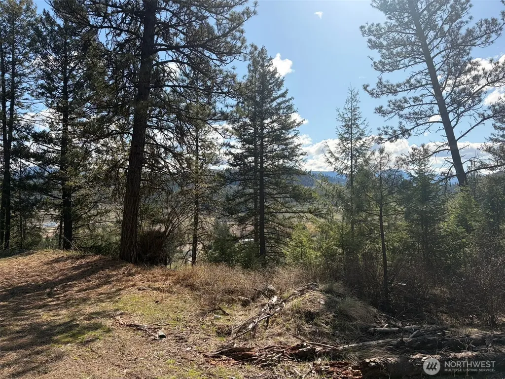 111 West Curlew Lake Road Republic WA 99166