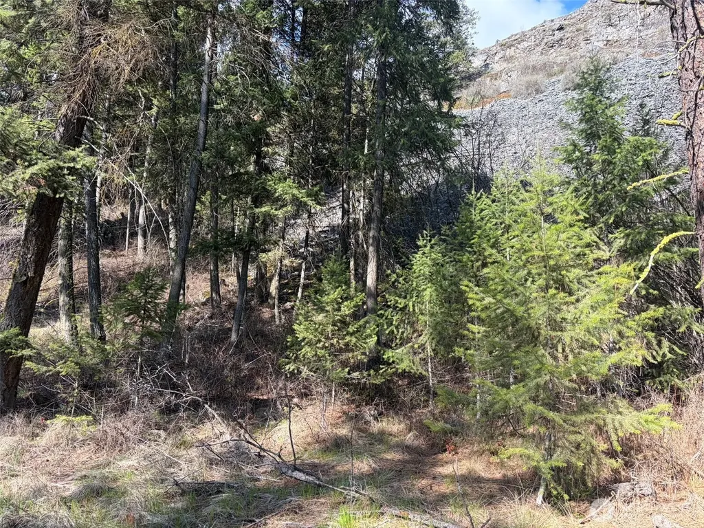 111 West Curlew Lake Road Republic WA 99166