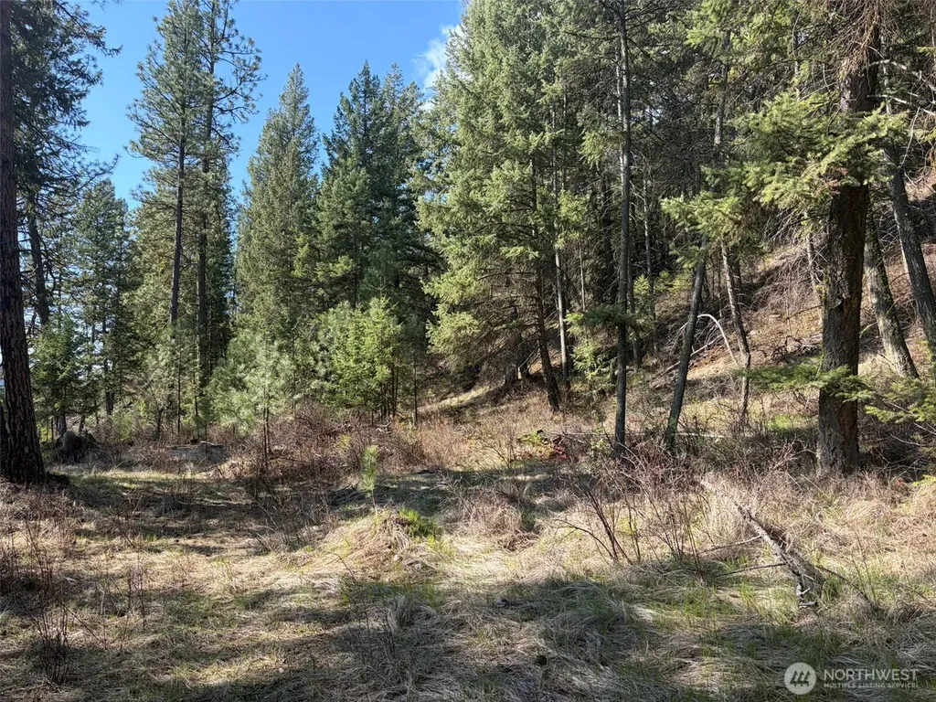 111 West Curlew Lake Road Republic WA 99166