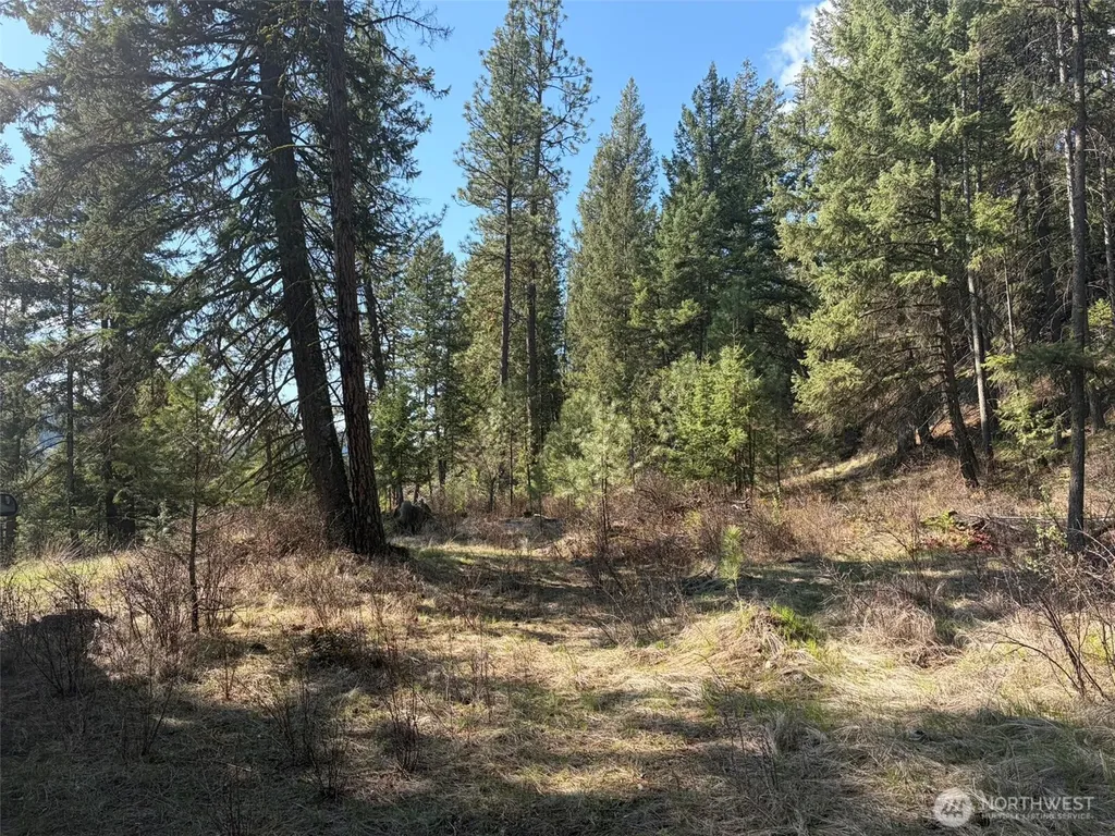 111 West Curlew Lake Road Republic WA 99166