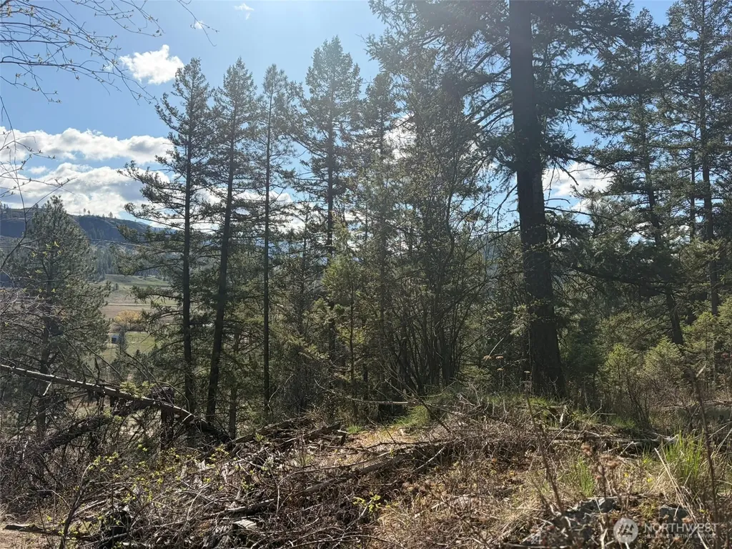 111 West Curlew Lake Road Republic WA 99166