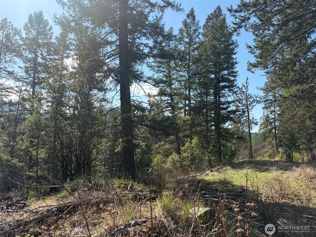 111 West Curlew Lake Road Republic WA 99166