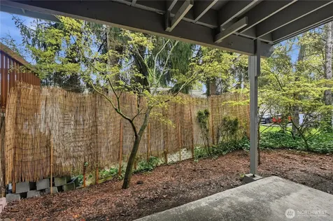 17203 NE 45th Street Redmond WA 98052