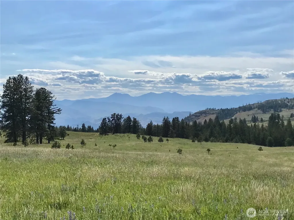 513 9 Mile Road Oroville WA 98844