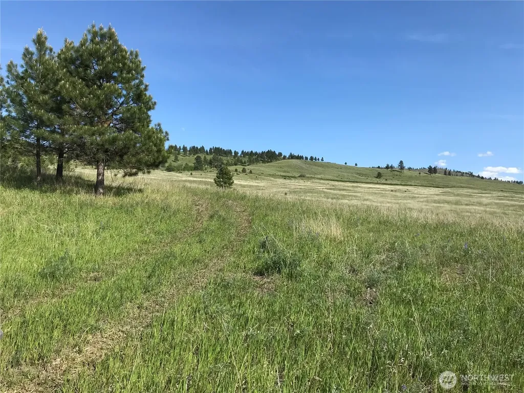 513 9 Mile Road Oroville WA 98844