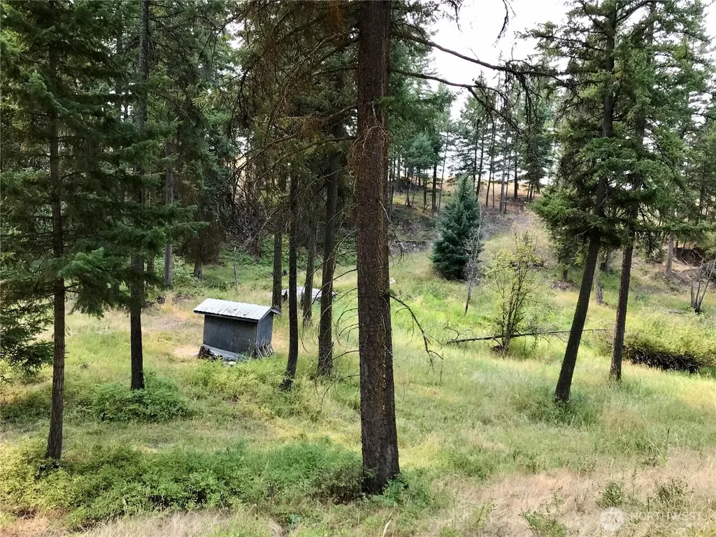 513 9 Mile Road Oroville WA 98844