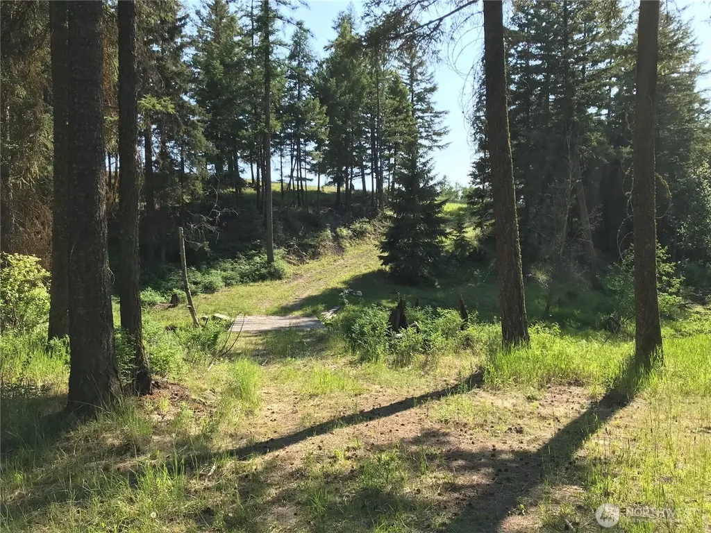 513 9 Mile Road Oroville WA 98844