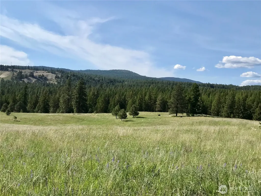 513 9 Mile Road Oroville WA 98844