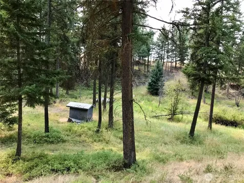 513 9 Mile Road Oroville WA 98844