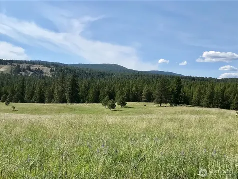 513 9 Mile Road Oroville WA 98844