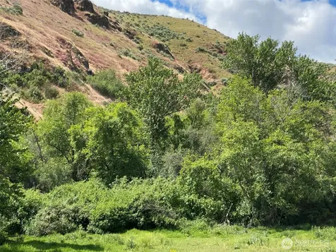 13761 Asotin Creek Road Asotin WA 99402