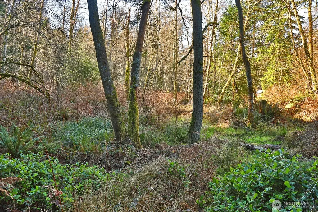 6880 Holst Road Clinton WA 98236
