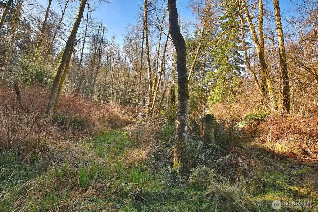 6880 Holst Road Clinton WA 98236