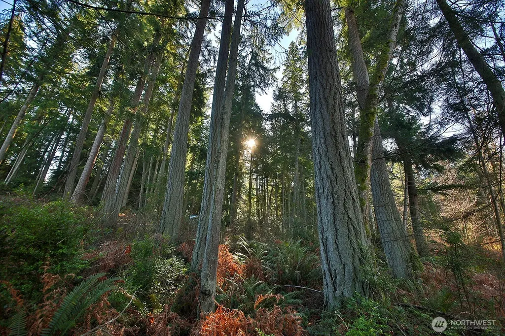 6880 Holst Road Clinton WA 98236