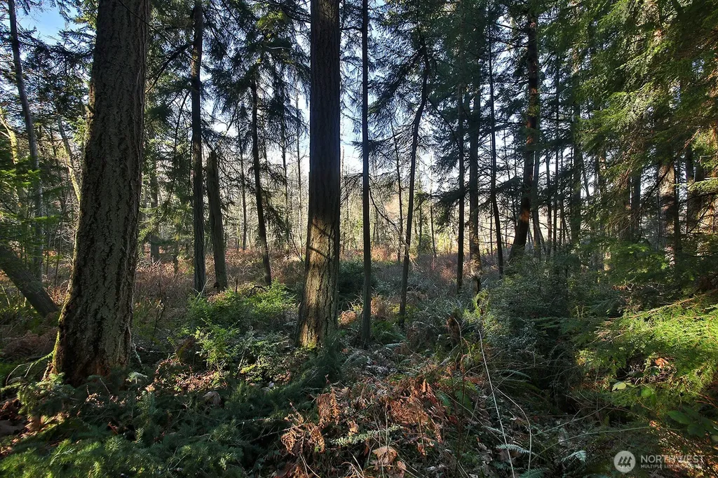 6880 Holst Road Clinton WA 98236