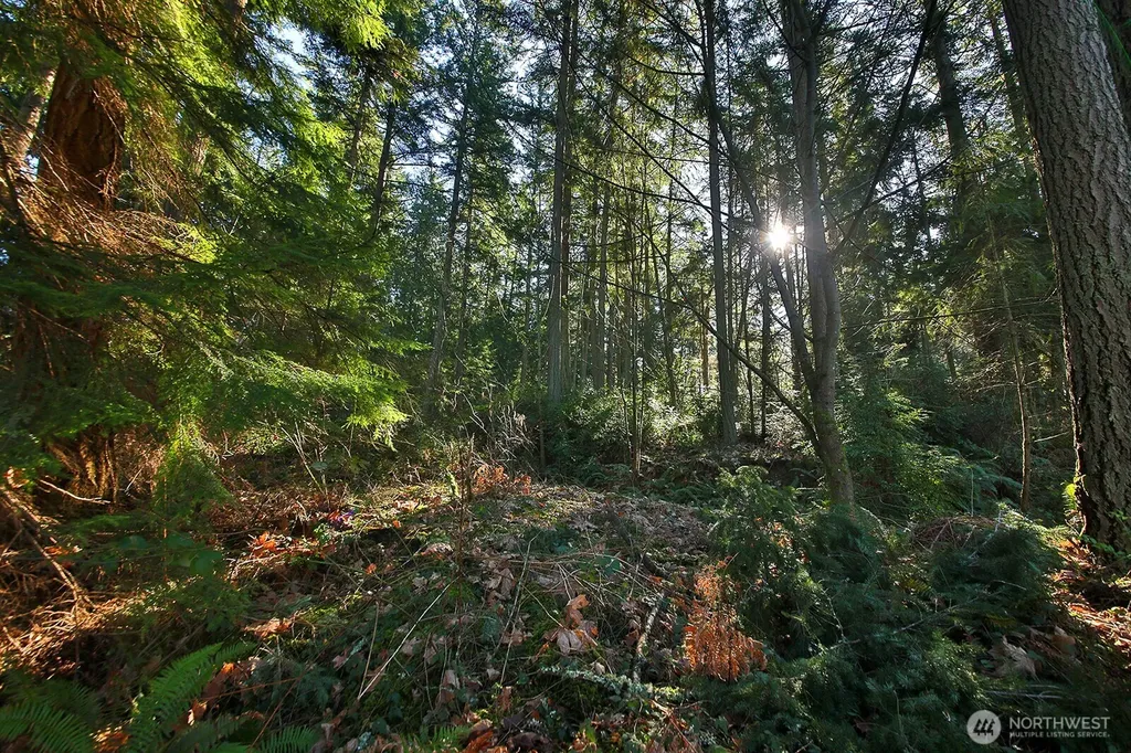 6880 Holst Road Clinton WA 98236
