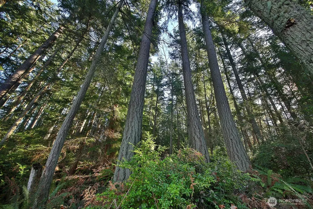 6880 Holst Road Clinton WA 98236