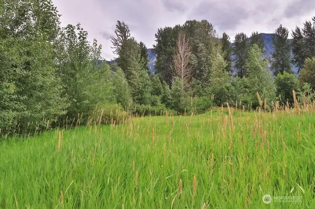 0 Lake Wenatchee Highway Lake Wenatchee WA 98826
