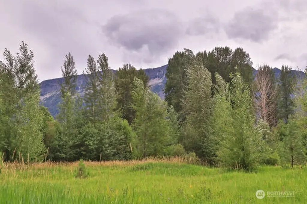 0 Lake Wenatchee Highway Lake Wenatchee WA 98826