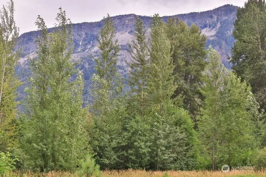 0 Lake Wenatchee Highway Lake Wenatchee WA 98826