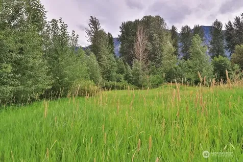 0 Lake Wenatchee Highway Lake Wenatchee WA 98826
