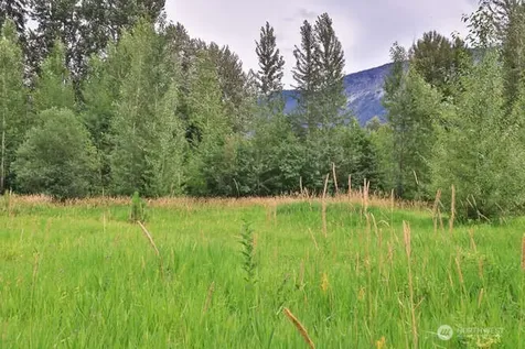 0 Lake Wenatchee Highway Lake Wenatchee WA 98826