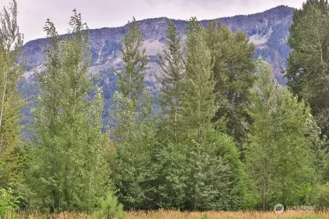 0 Lake Wenatchee Highway Lake Wenatchee WA 98826