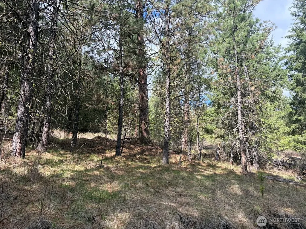 111 West Curlew Lake Road Republic WA 99166