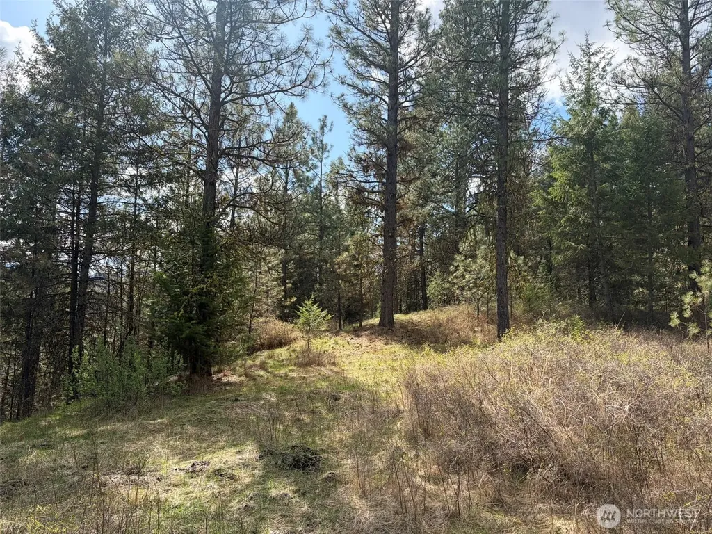 111 West Curlew Lake Road Republic WA 99166
