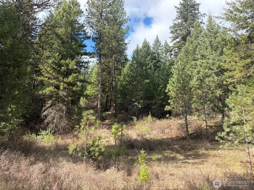 111 West Curlew Lake Road Republic WA 99166