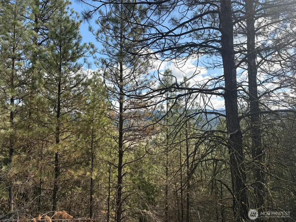 111 West Curlew Lake Road Republic WA 99166