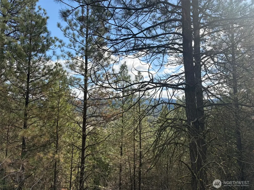 111 West Curlew Lake Road Republic WA 99166