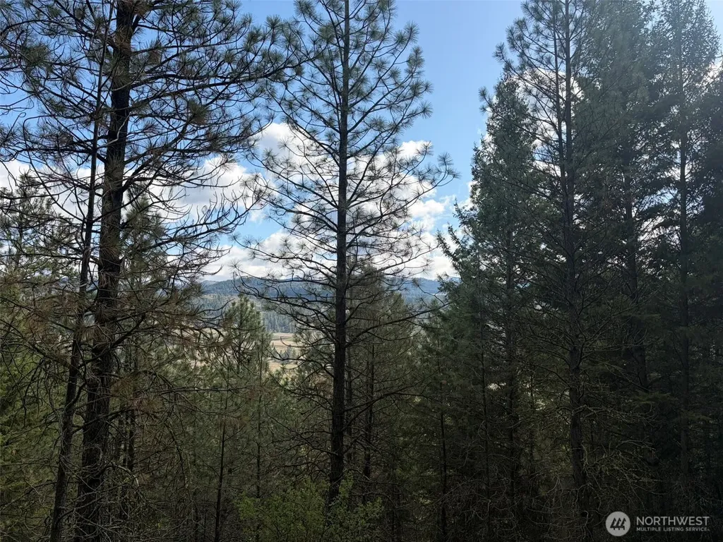 111 West Curlew Lake Road Republic WA 99166