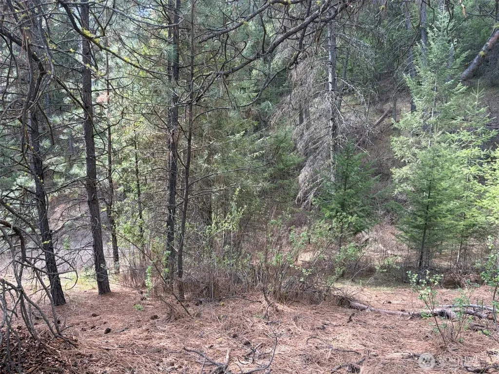 111 West Curlew Lake Road Republic WA 99166