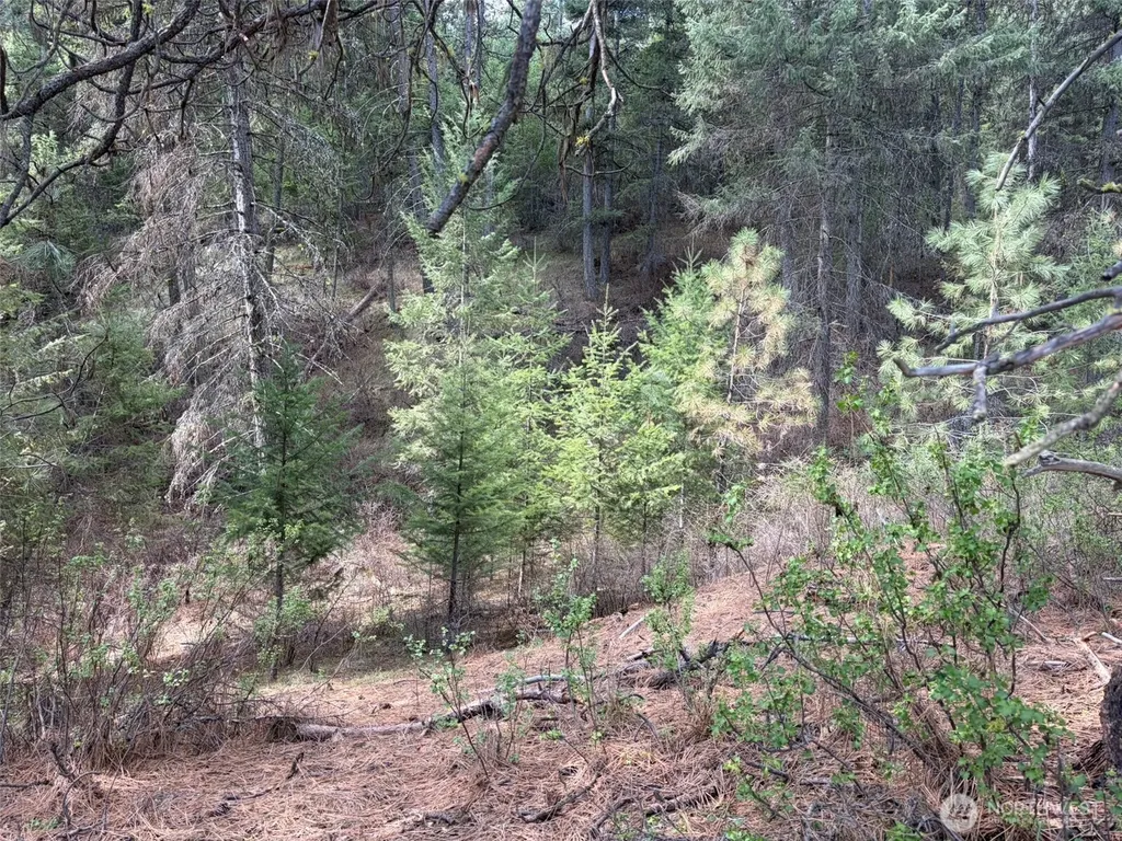 111 West Curlew Lake Road Republic WA 99166