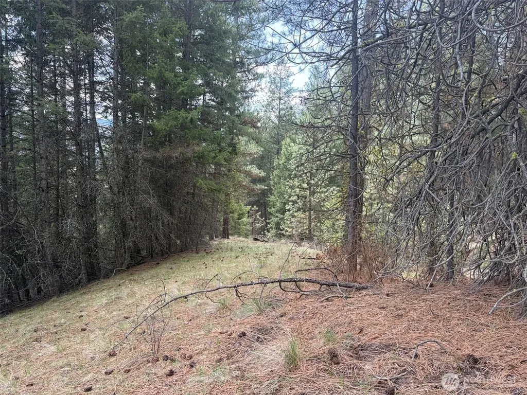 111 West Curlew Lake Road Republic WA 99166
