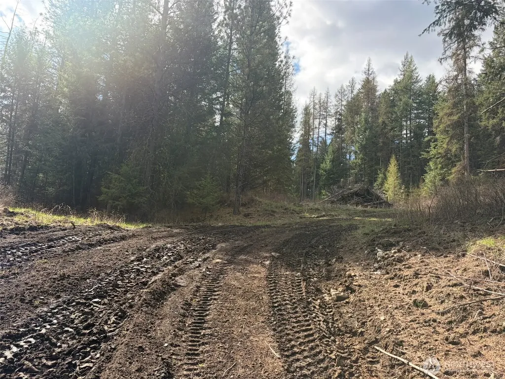 111 West Curlew Lake Road Republic WA 99166