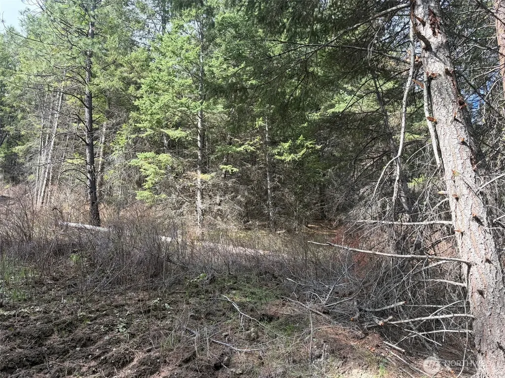 111 West Curlew Lake Road Republic WA 99166